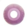 radial bristle discs