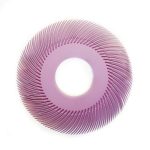 radial bristle discs